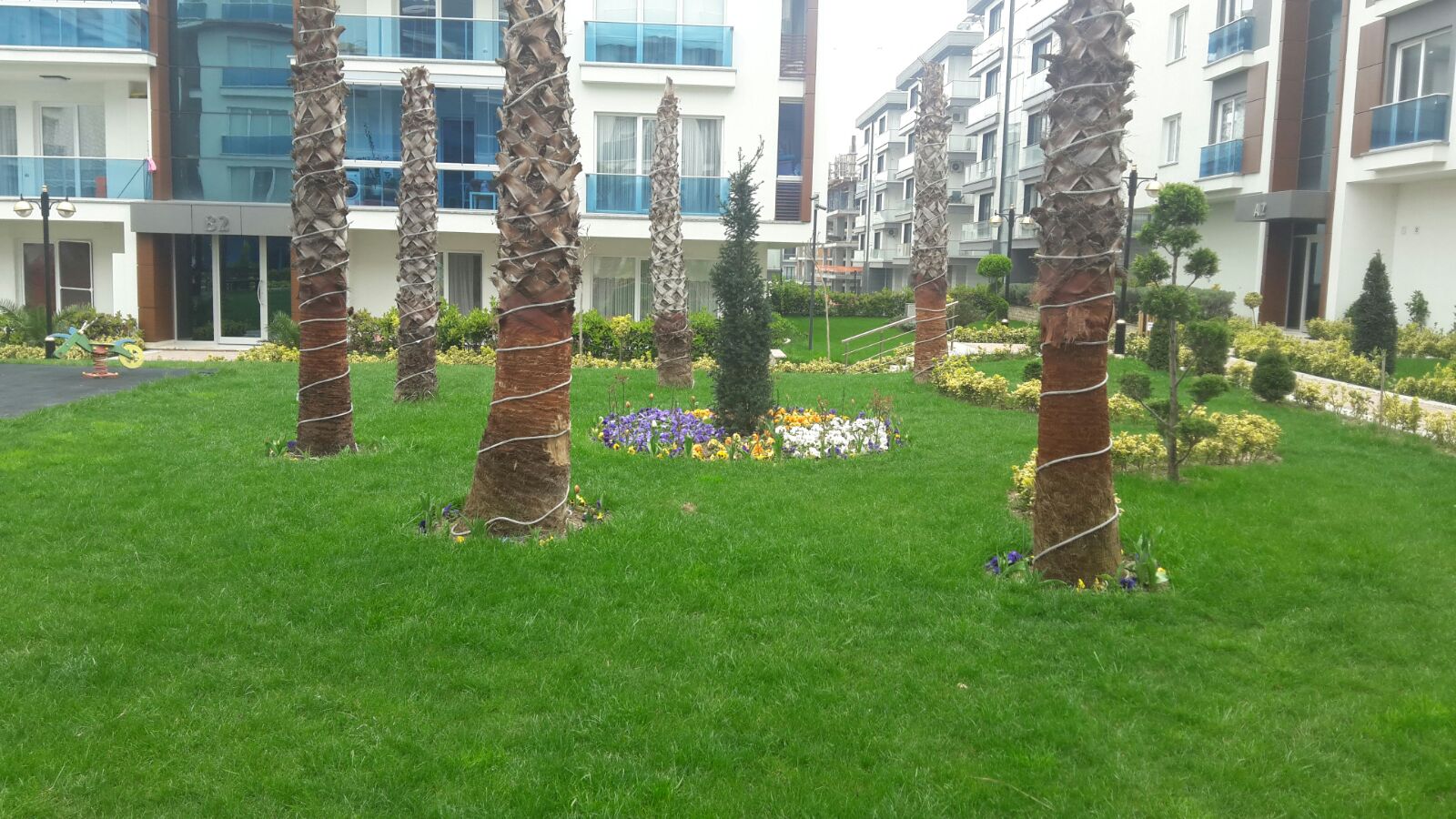Dora Park 4 Resimi